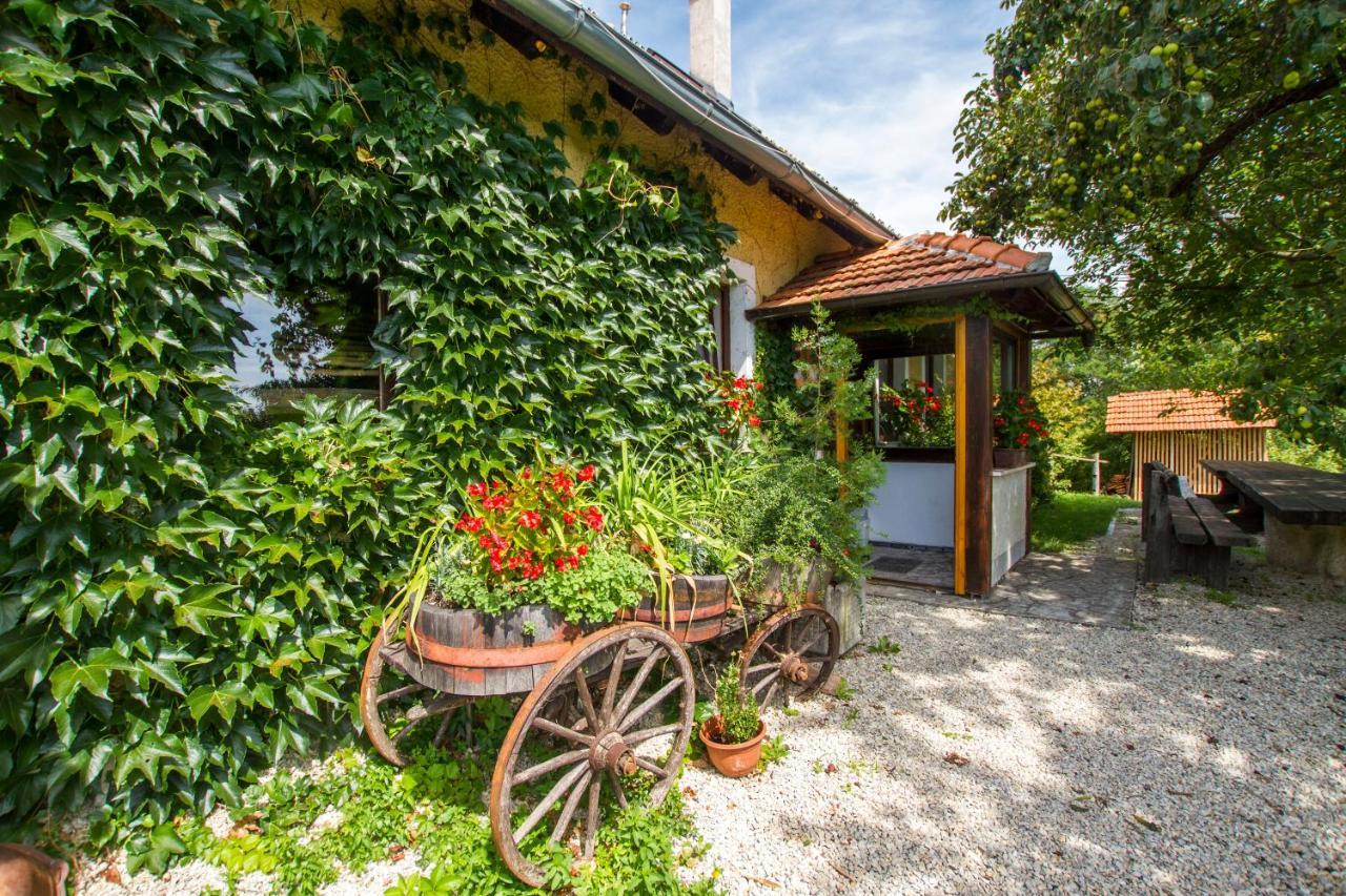 Holiday Home Juricko With Private Sauna Bizeljsko Exterior foto